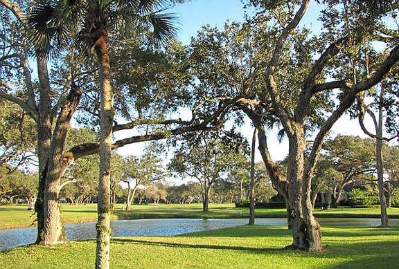 3rd image of 350 Sabal Palm Ln