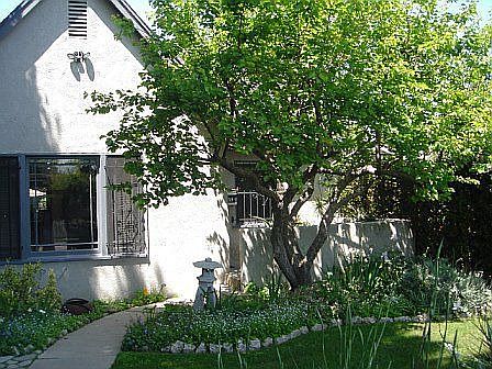 front yard