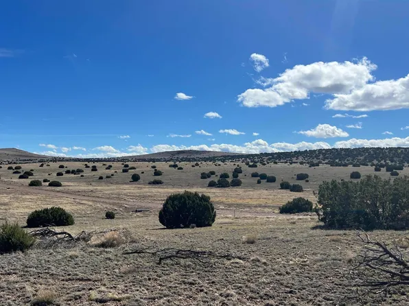 Deer Cir, Quemado, NM 87829