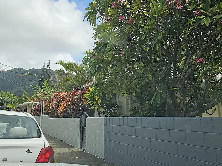 439A Kuliouou Rd — Photo 19