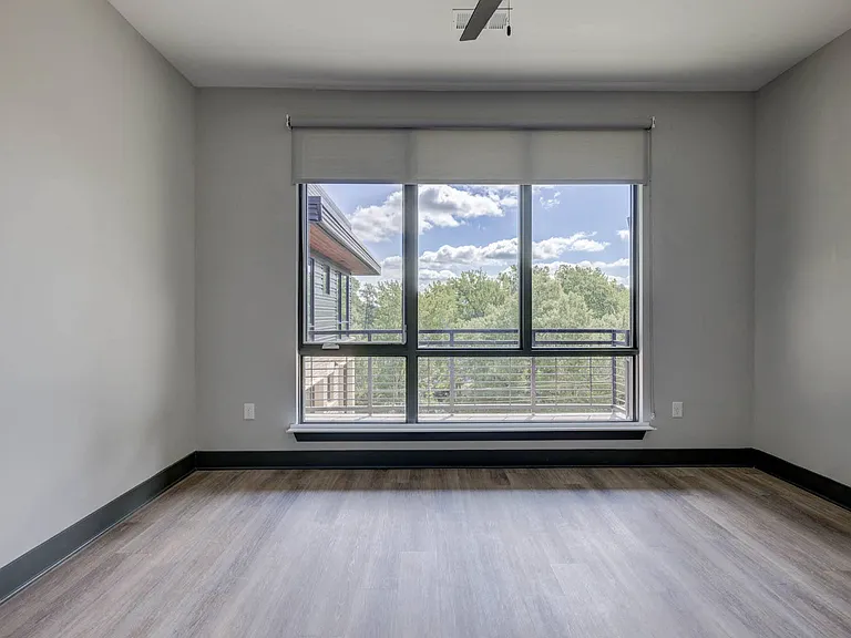 Large Windows with a View
