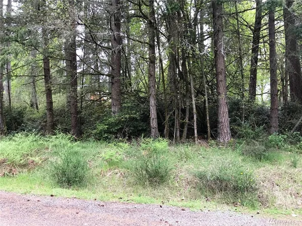 12619 Silver Dr, Anderson Island, WA 98303