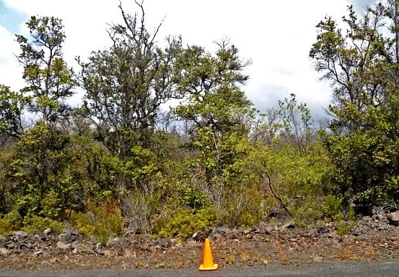 3rd image of Kona Dr Lot 35