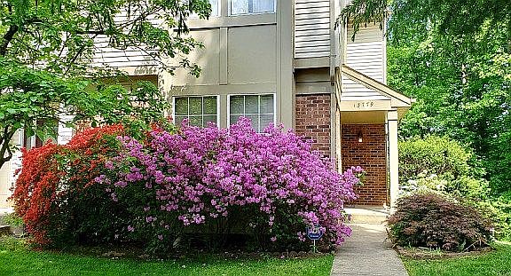 2nd image of 15779 Widewater Dr