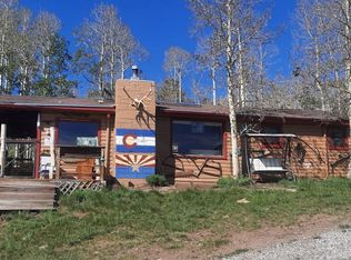 485 Meadow Dr, Fairplay, CO 80440