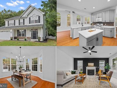 1111 Ruddy Duck Ct, Denton, MD, 21629