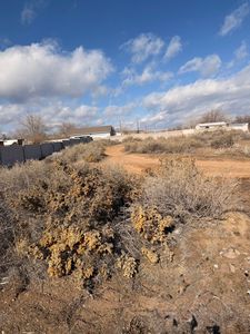 2513 Amalia Rd SW, Albuquerque, NM, 87105