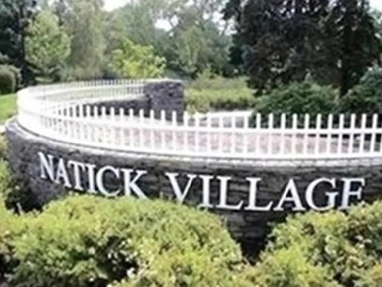 29 Village Rock Ln — Photo 11