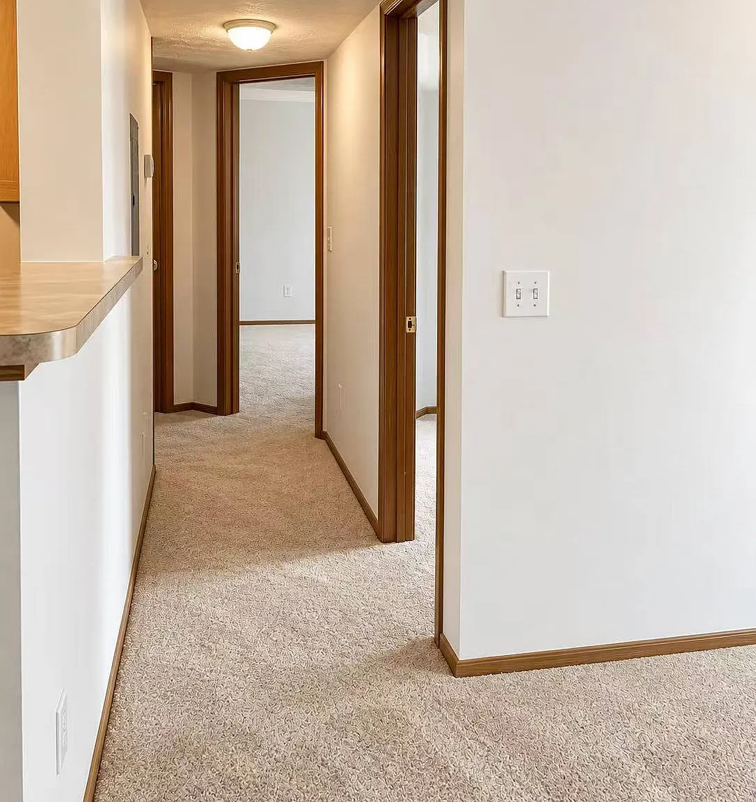2 bed, 938 sqft, $1,250 — Photo 2