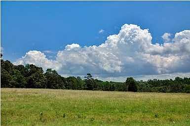 1st image of 8800 County Road 61