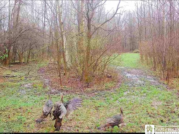 Route 430 Lot 6, Findley Lake, NY 14736