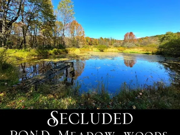 2195 Ed Klug Rd #22, Franklin, NY 13775