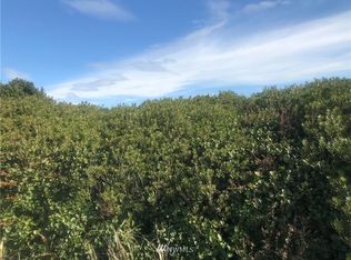 1056 Ocean Shores Blvd SW, Ocean Shores, WA 98569