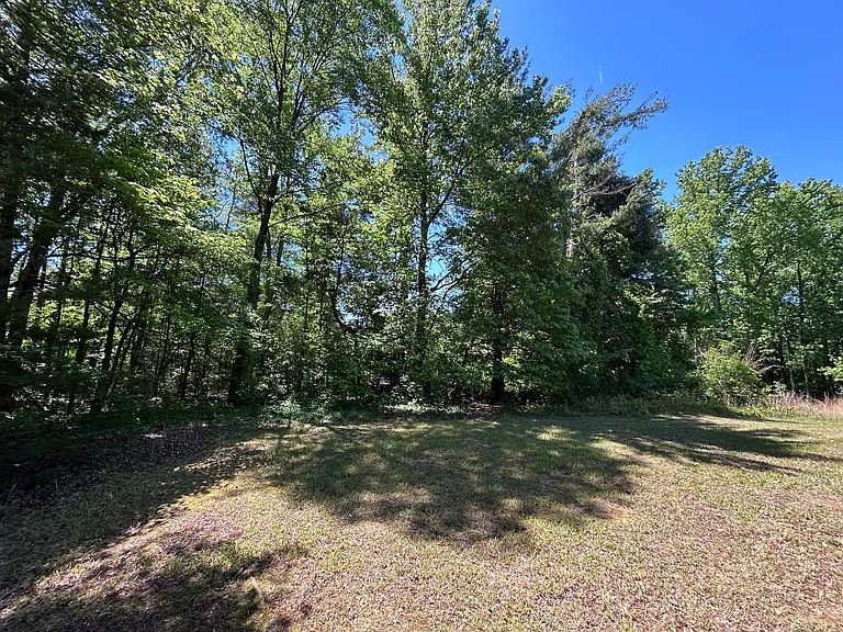 2318 Purdy Ave — Photo 32