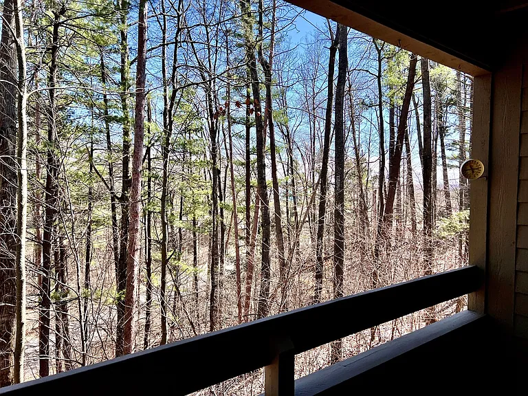 6245 Summit Ct — Photo 24