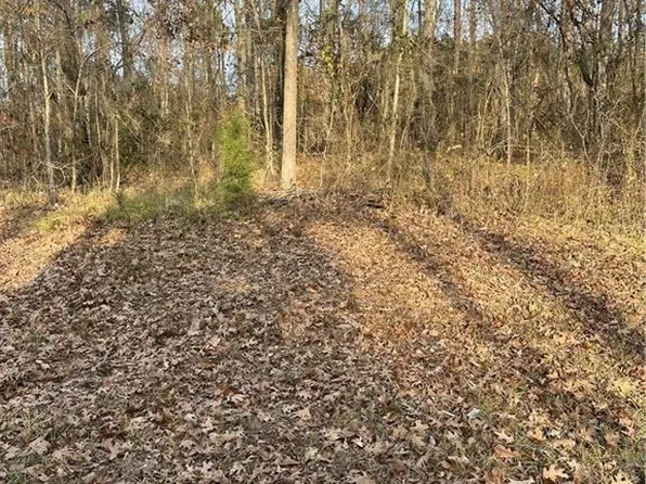 Sheriff Bailey Road 6 Lot 4-5, Goldonna, LA 71031