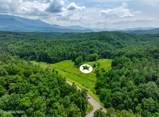 1A Birds Creek Rd, Gatlinburg, TN 37738