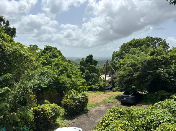 State Highway 967 Zarzal, Palmer, PR 00721