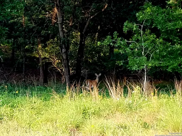 2404 County Road 320 LOT 15, Floresville, TX 78114