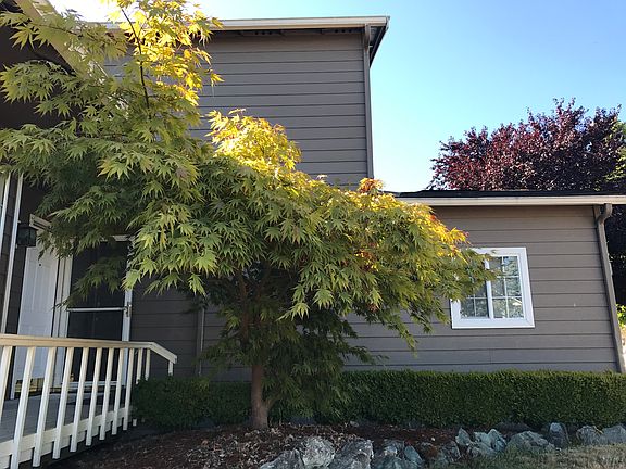 3rd image of 15617 Lakeview Ave SE