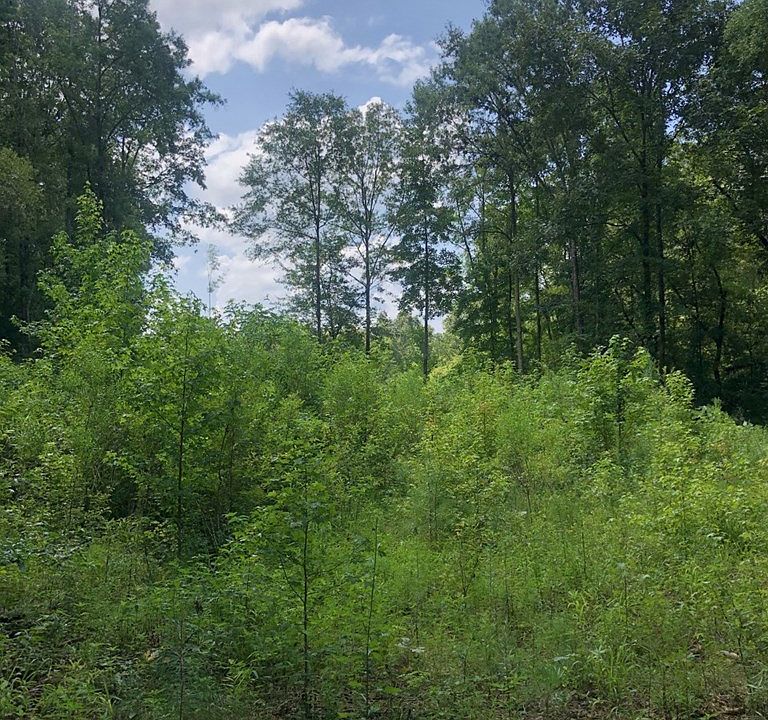 Fm 1878, Nacogdoches, TX 75961 Zillow