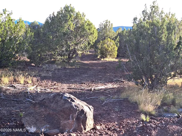 2940 W Honeysuckle Rd, Williams, AZ 86046