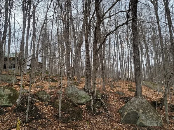 Hollywood Rd Lot 53, Old Forge, NY 13420