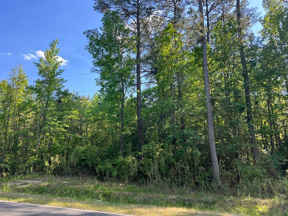 Image from E Reeves Bridge Road