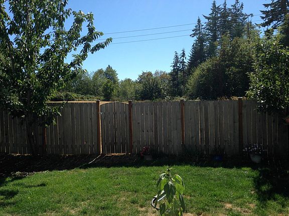 Back yard has cherry tree and apple tree