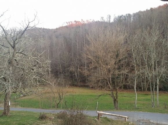 2nd image of 601 Grassy Creek Rd
