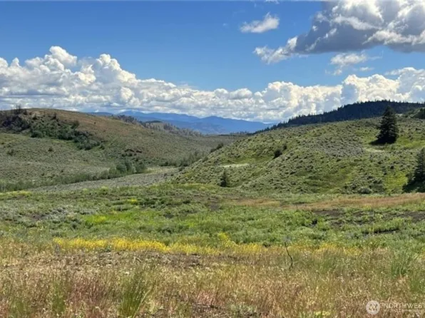 0 TBD Ellemeham Mountain Road, Oroville, WA 98844