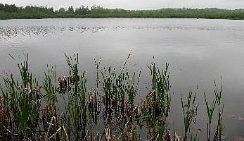 3rd image of Birch Shores Dr Lot 126B