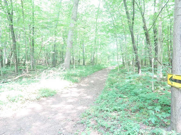 60th Ave, Hartford, MI 49057