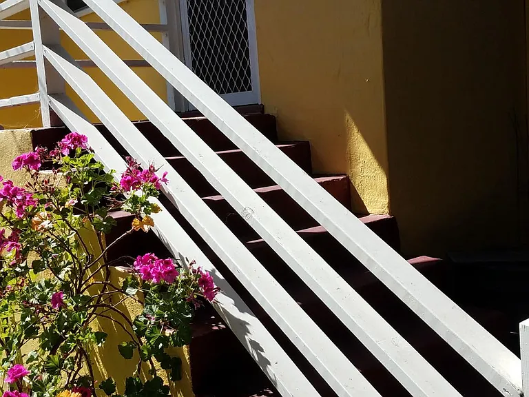 Back door and small porch