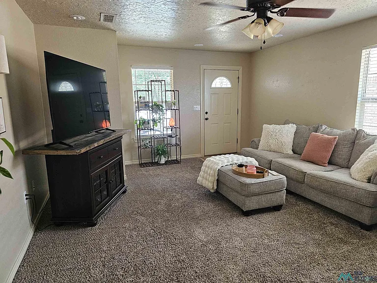 113 Gayland Dr — Photo 7