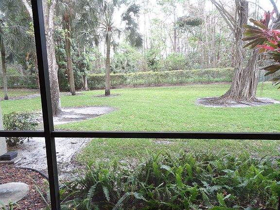 View from back patio