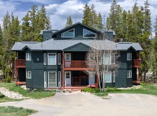 753 Mulligan St #B-1, Fraser, CO 80442