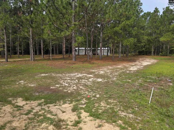 132 Elijah Ln, Pelion, SC 29123