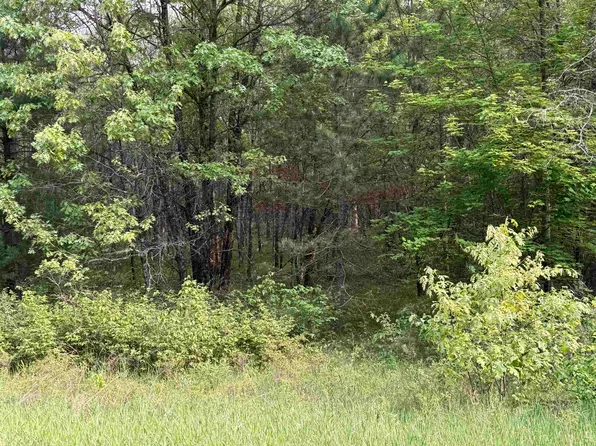 W1926 Great Bear Rd, Keshena, WI 54135