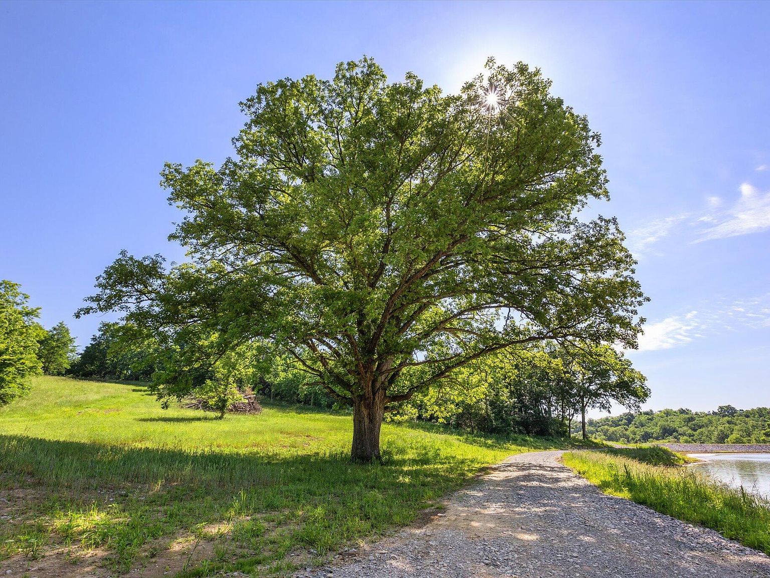 4750 State Highway 1842 N A, Cynthiana, KY 41031 Zillow