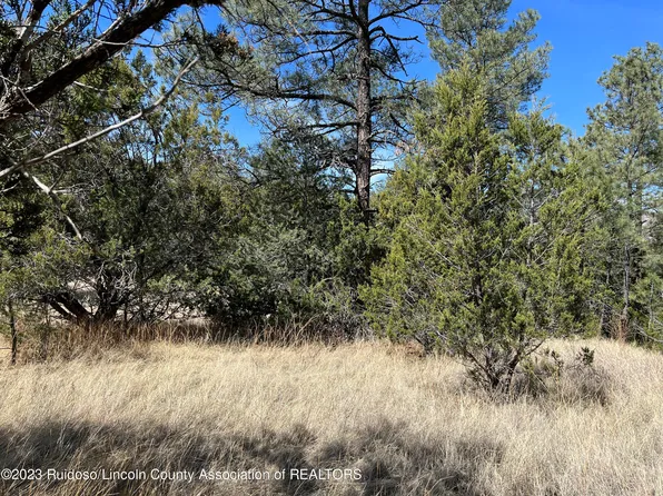 124 Agua Fria Dr, Ruidoso Downs, NM 88346