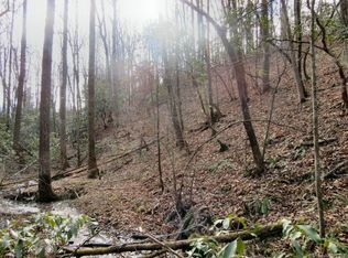 Xx See Off Mountain Rd, Brevard, NC 28712