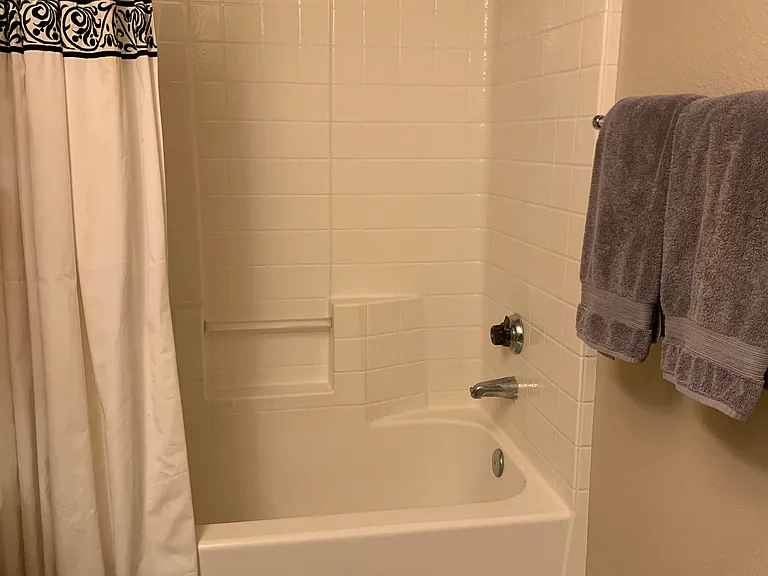 Master Bathroom Shower