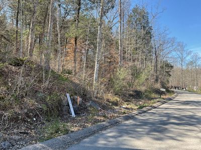 4 Caney Branch Spur #4, Burnside, KY, 42519