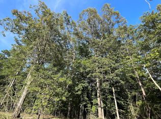 Eucutta Sandersville Rd, Waynesboro, MS 39367