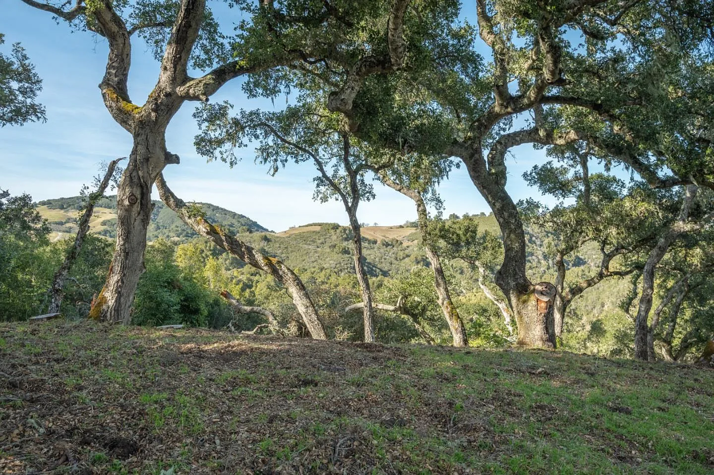 5 Vasquez Trl Lot 170 photo 1
