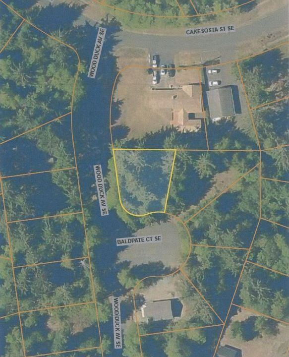 1st image of 704 Wood Duck Ave SE