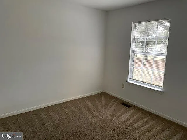 6673 Canada Goose Ct — Photo 17