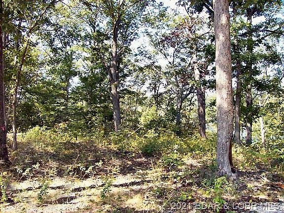 4th image of 148 Oak Cove Dr