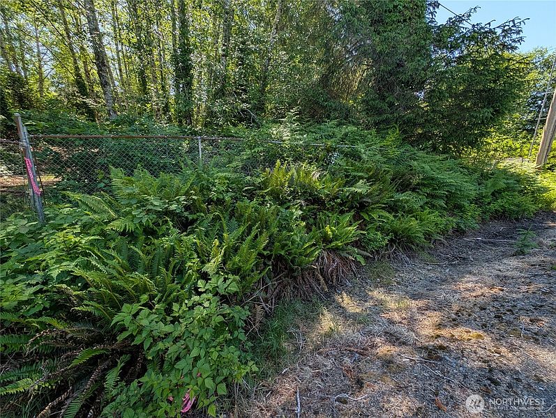 4th image of 181327 Hwy 101 Highway